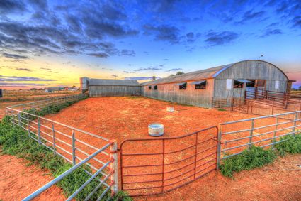 Bucklow Station - Woolshed - NSW SQ (PB5D 00 2682)